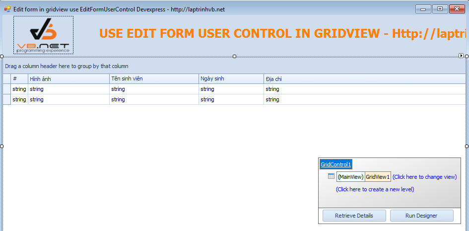 edit form gridview