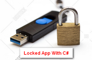 [C#] Bảo mật phần mềm ứng dụng với thiết bị USB Serial Number