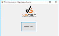 Hướng dẫn lập trình in winform (print this window form vb.net)