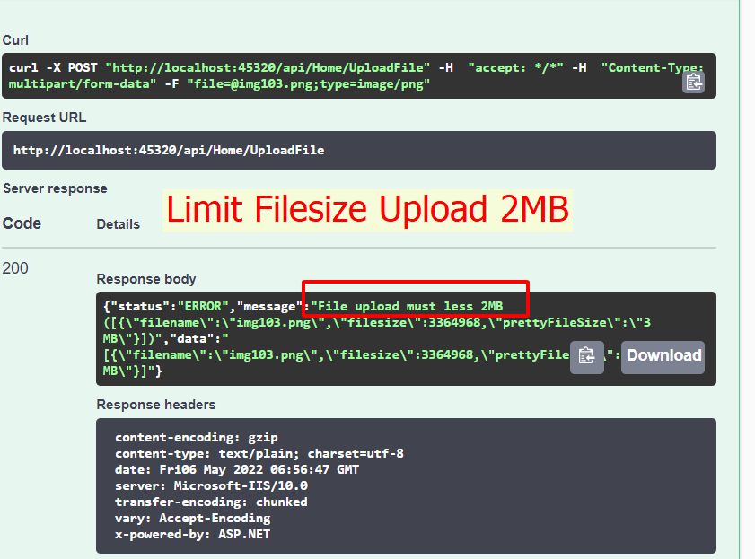 limit_file_type_upload